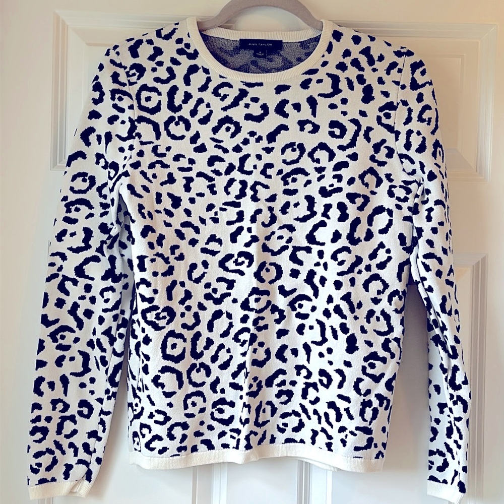 NWOT Ann Taylor Sweater